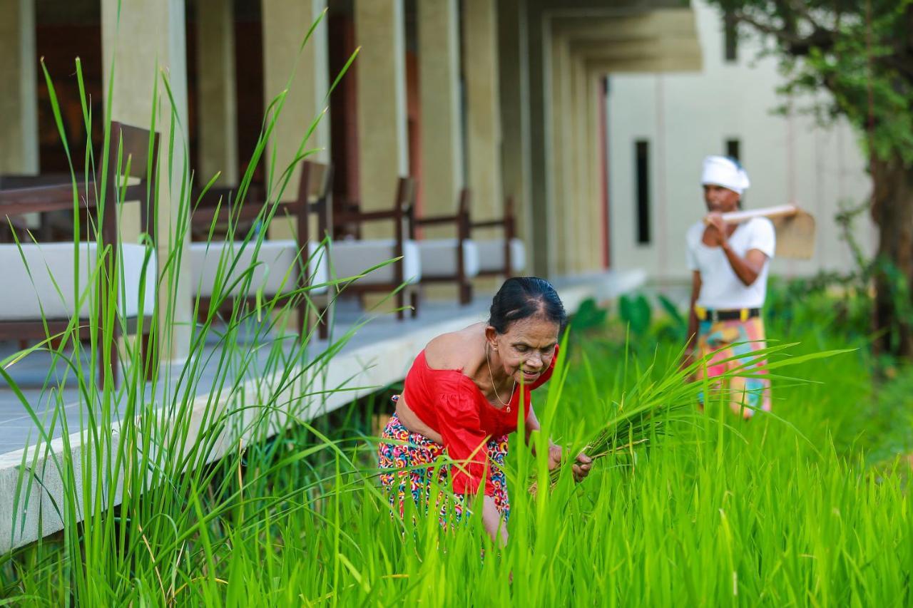 Tropical Life Resort And Spa Dambulla Exterior foto